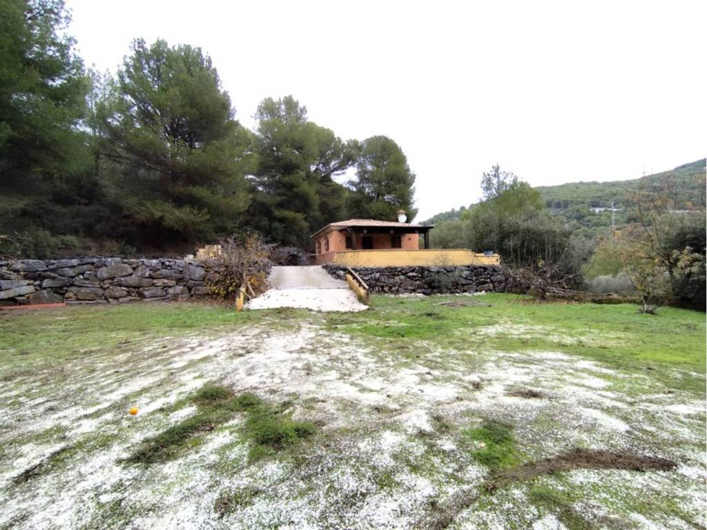 Jardín