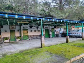 Jardín