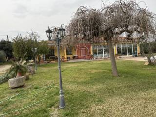 Jardín