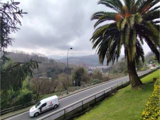 Vistas