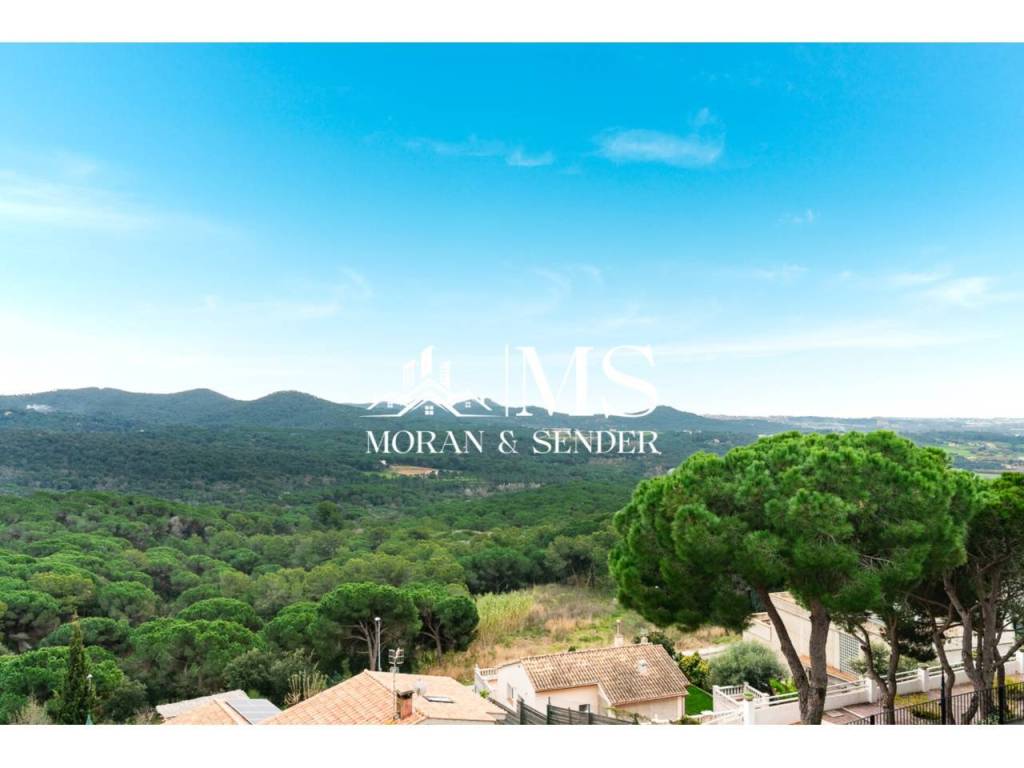 Vistas