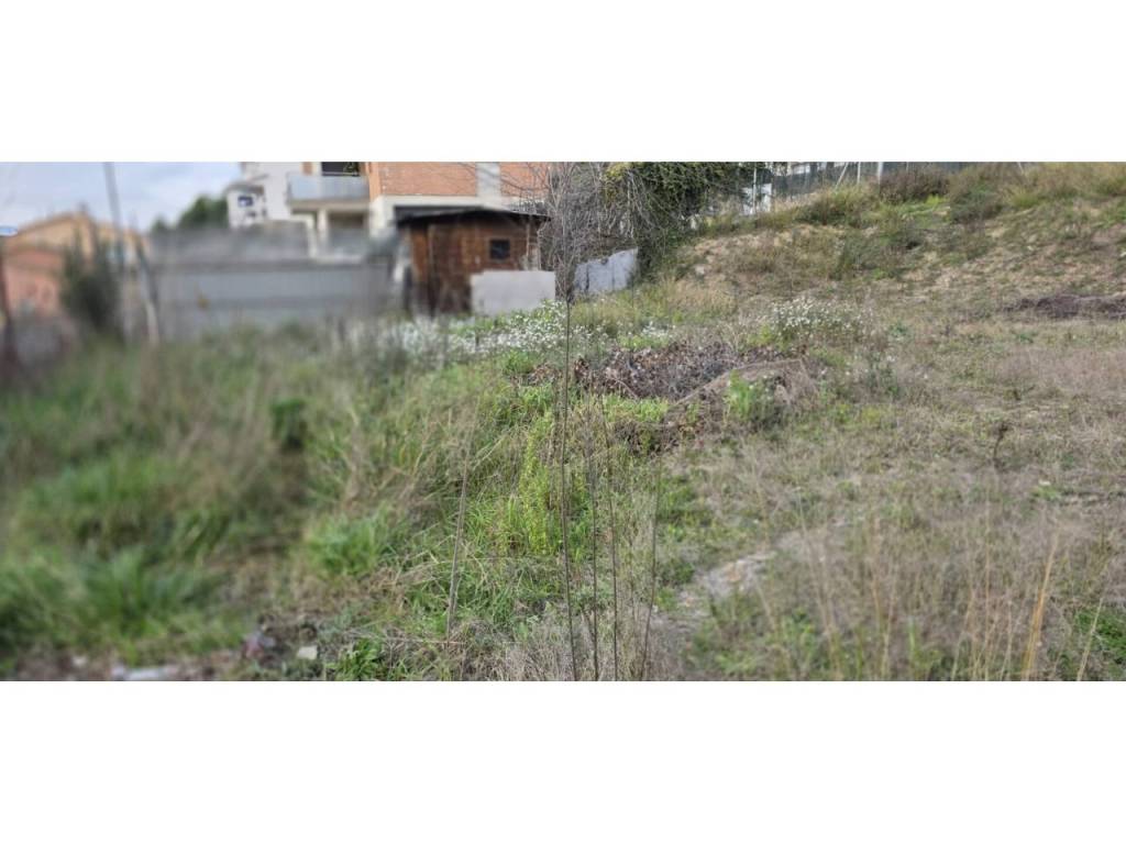 Jardín