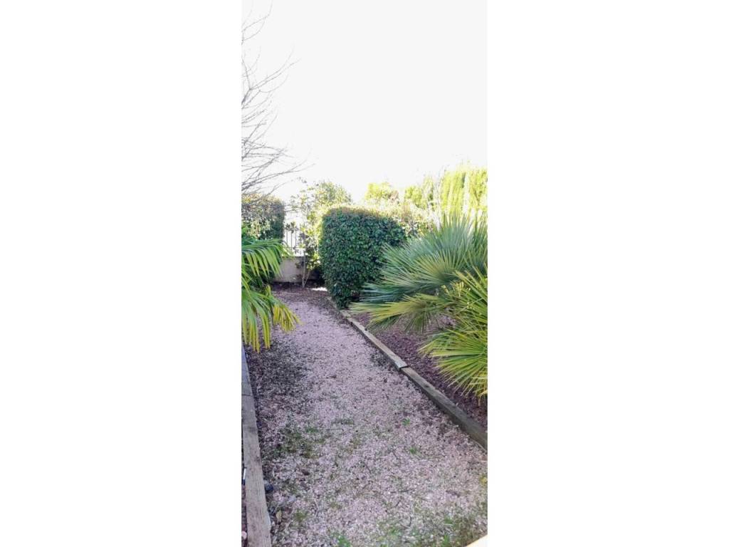 Jardín