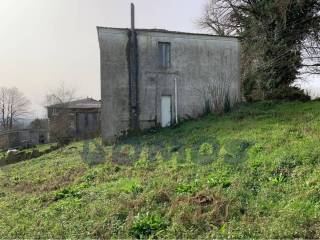 Jardín