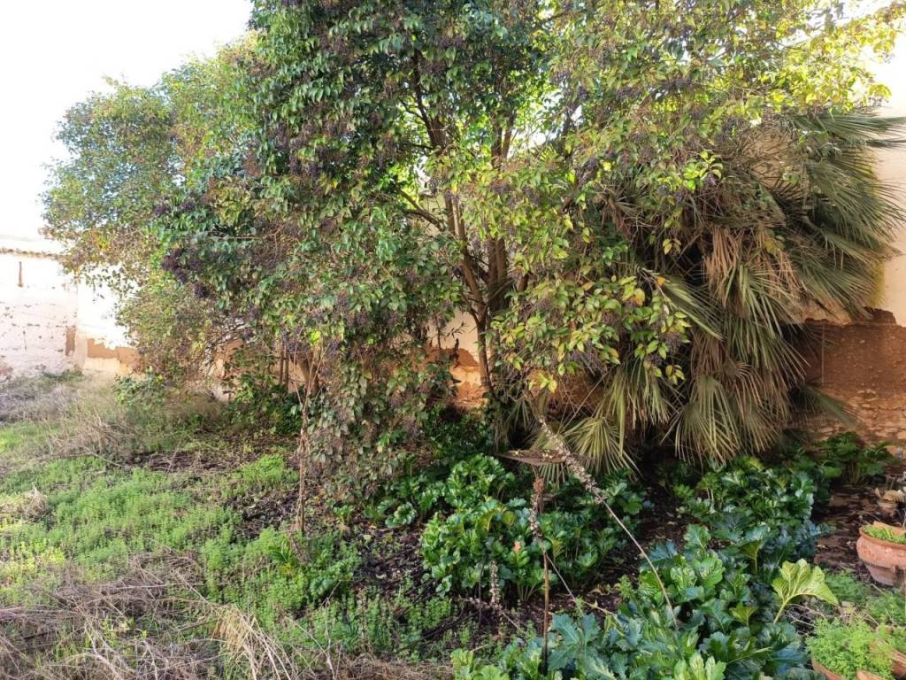 Jardín