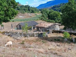 Alrededores