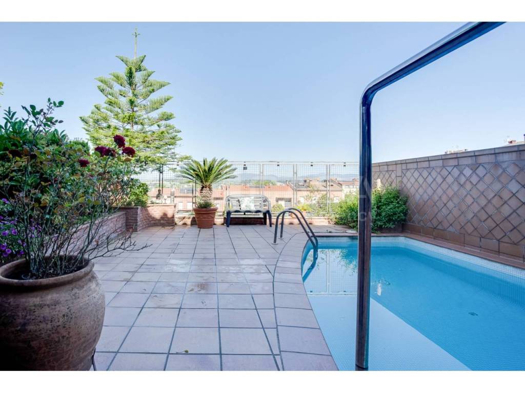 Terraza