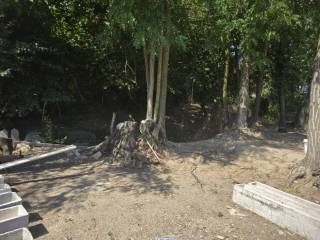 Jardín
