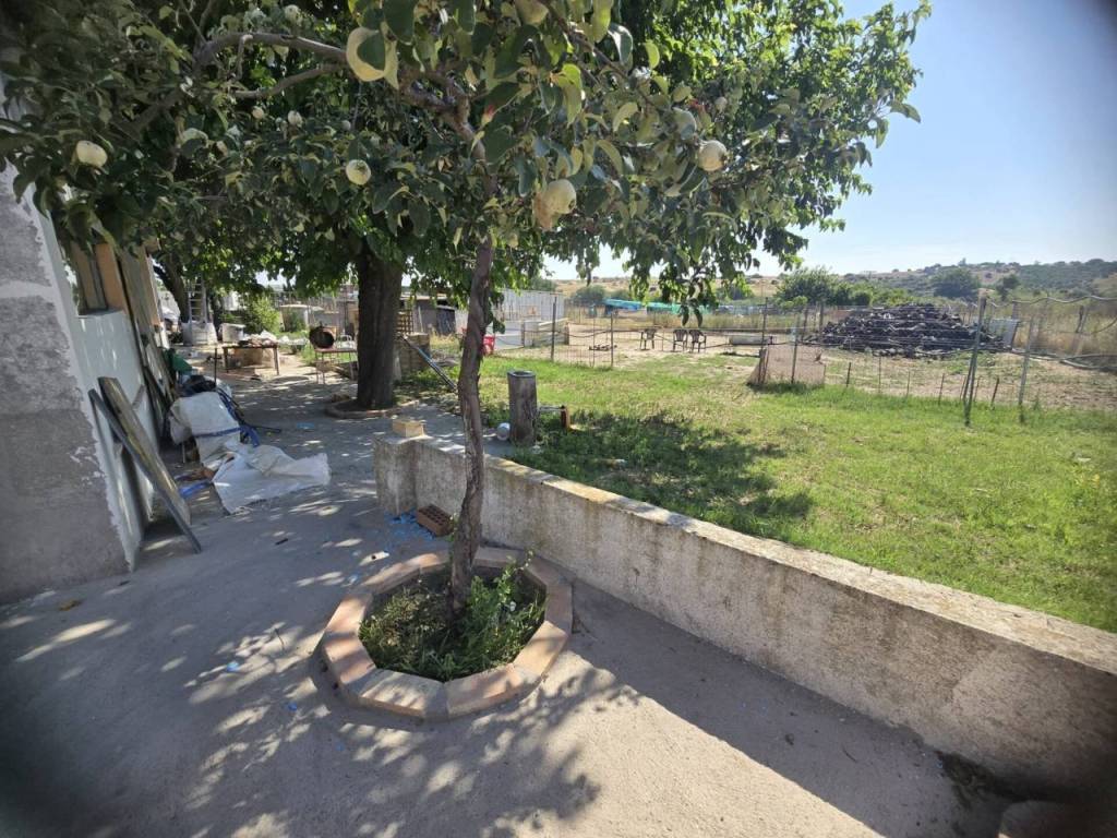 Jardín