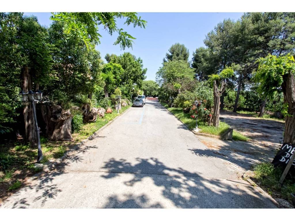 Jardín