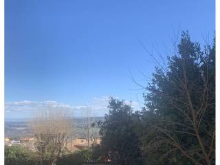 Vistas