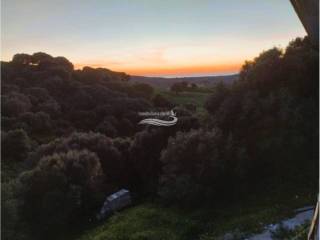 Vistas
