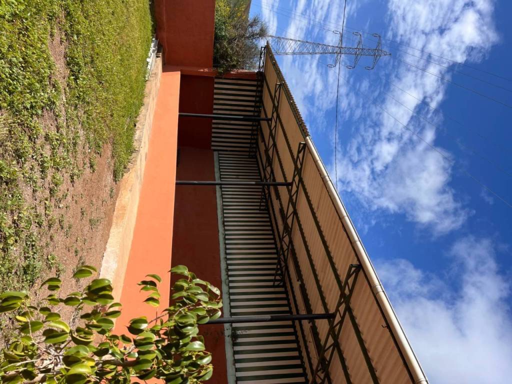 Jardín