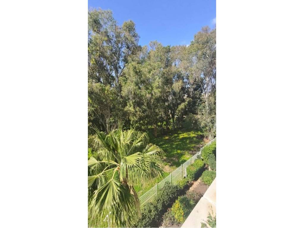 Jardín