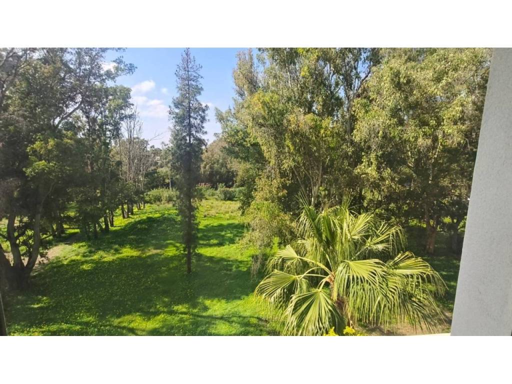 Jardín