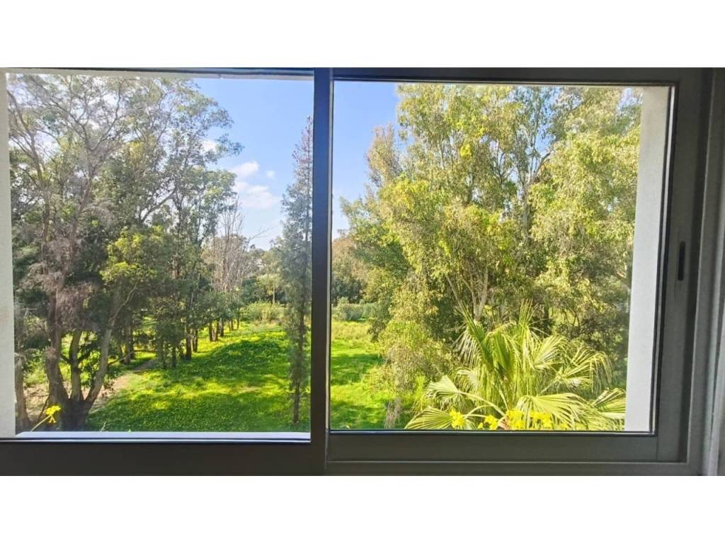 Vistas