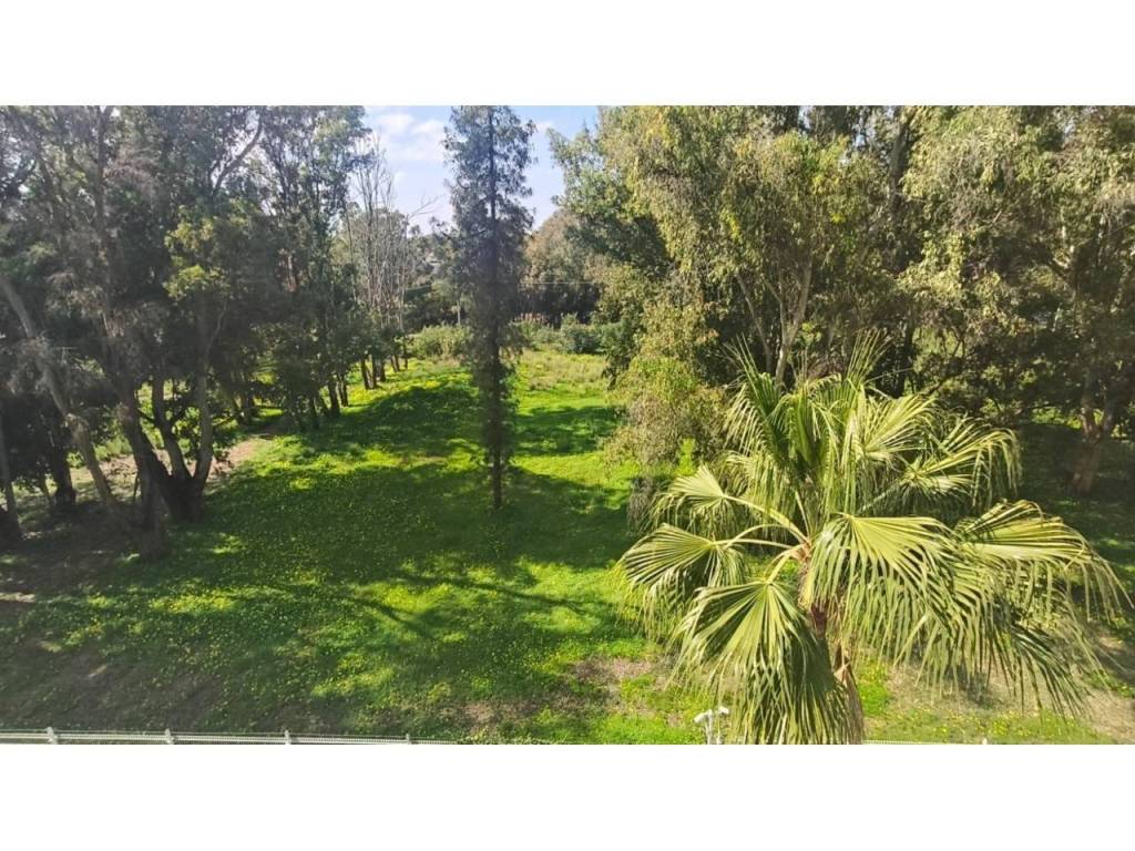 Jardín