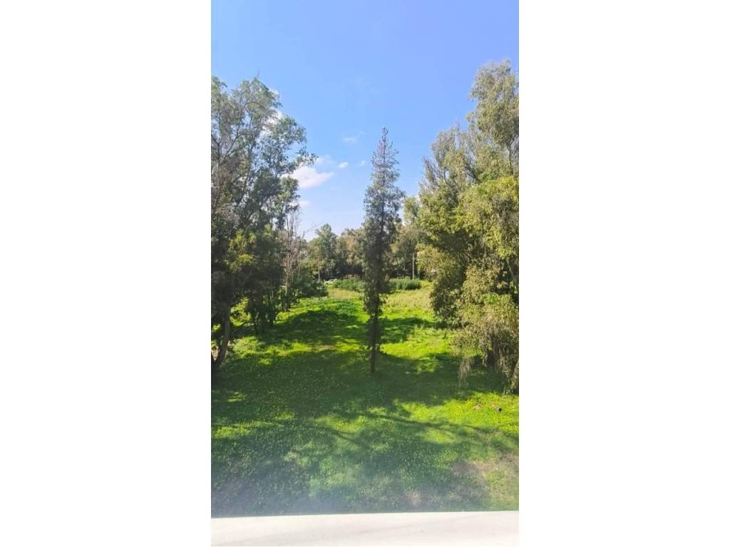 Jardín