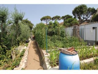 Entorno