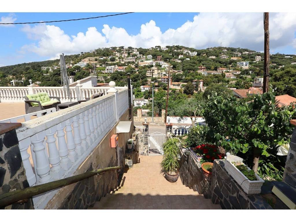 Terraza