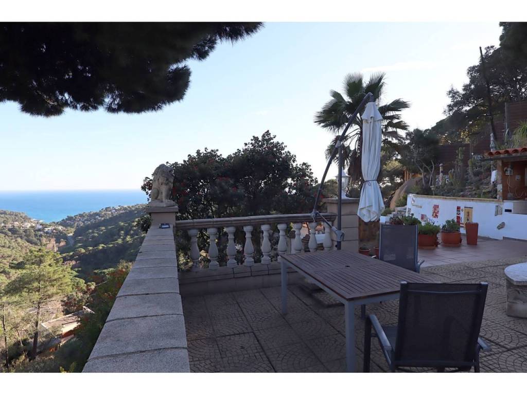 Terraza