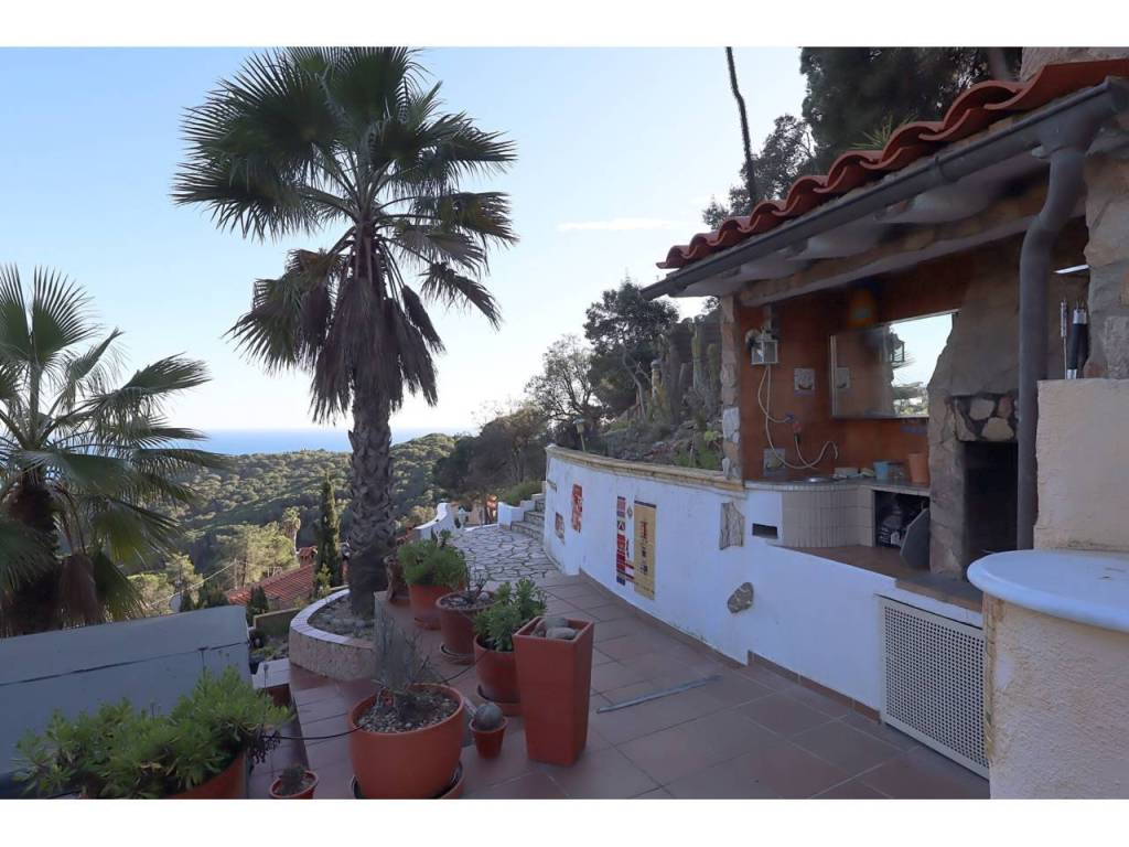 Terraza