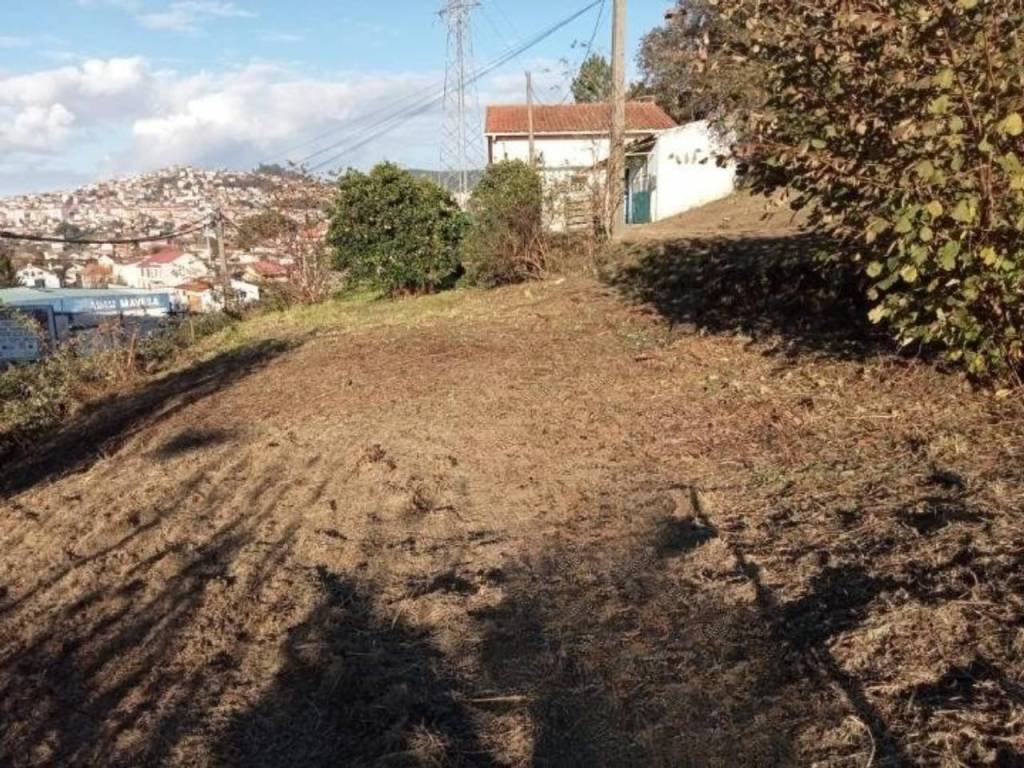 Jardín