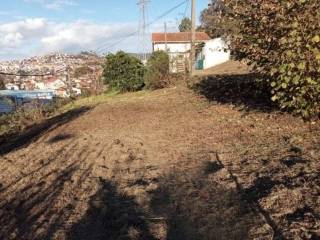 Jardín