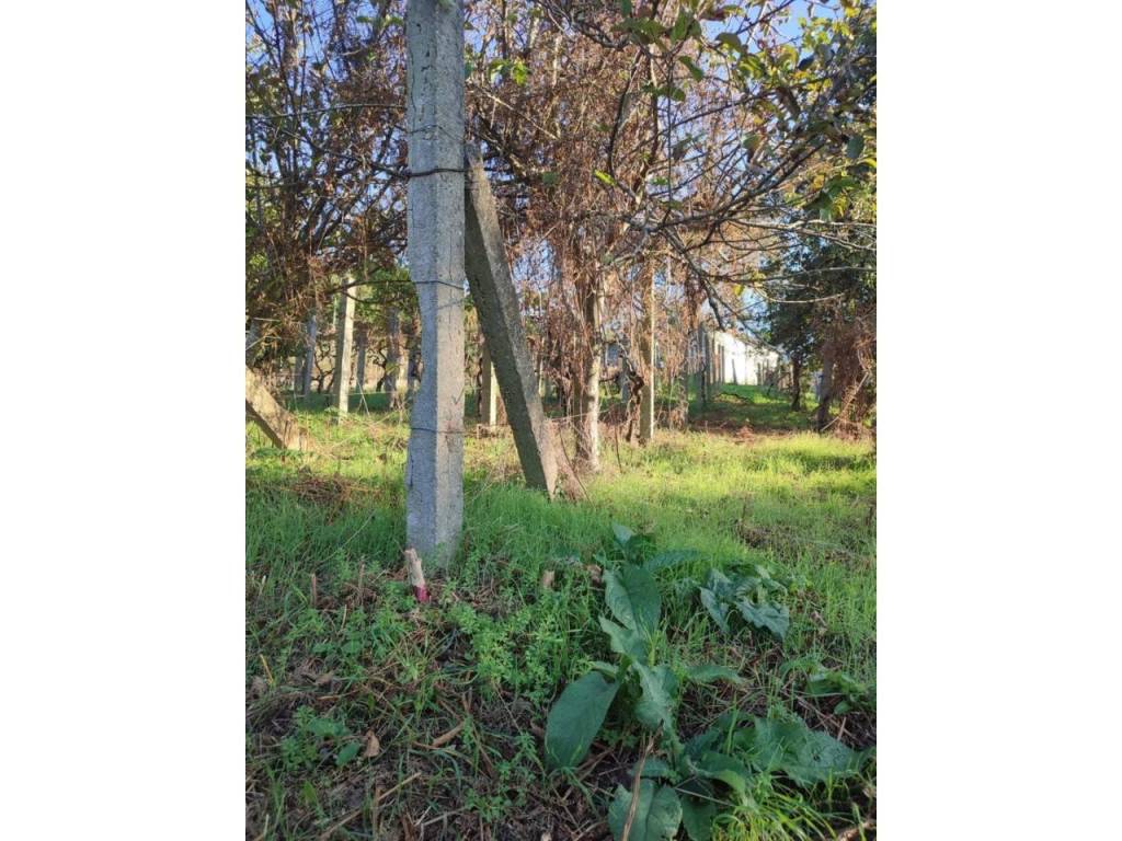 Jardín