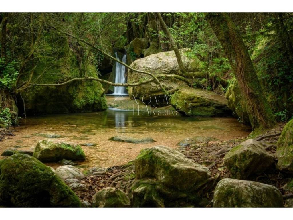 Jardín