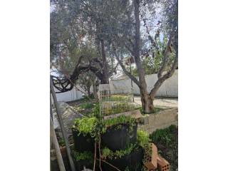 Jardín
