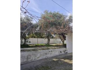No Informado