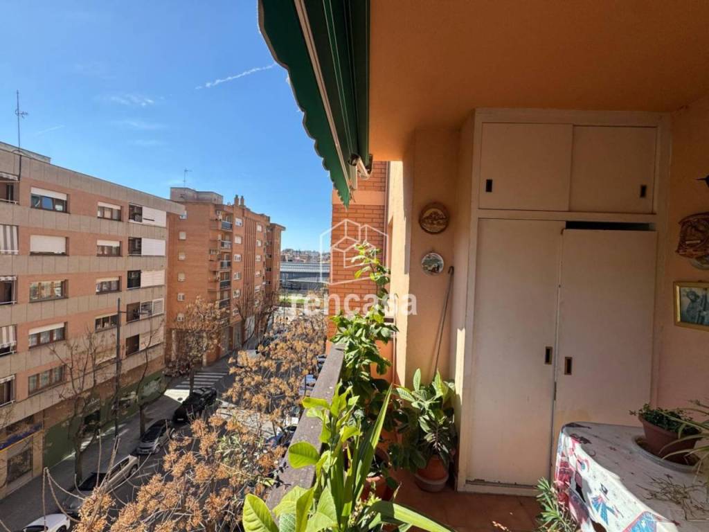 Terraza