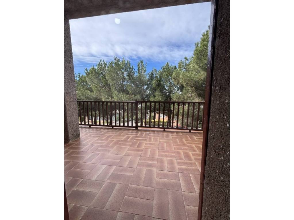 Terraza
