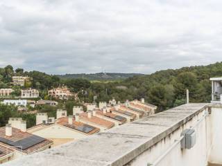 Vistas