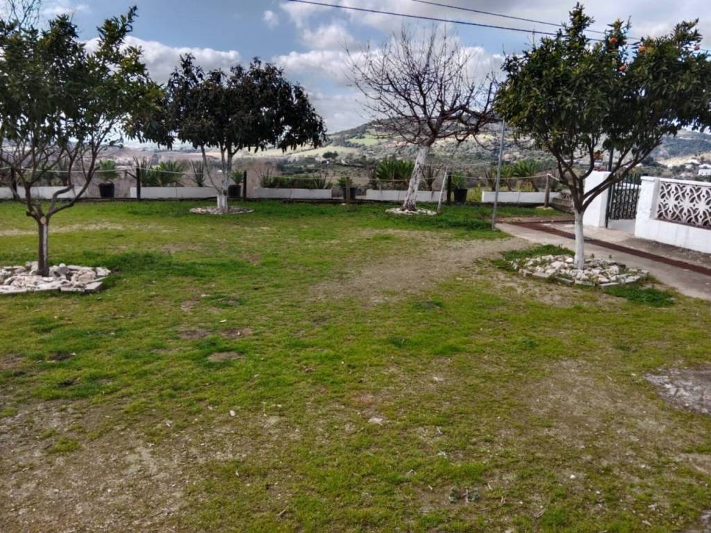 Jardín