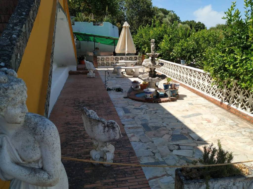 Terraza