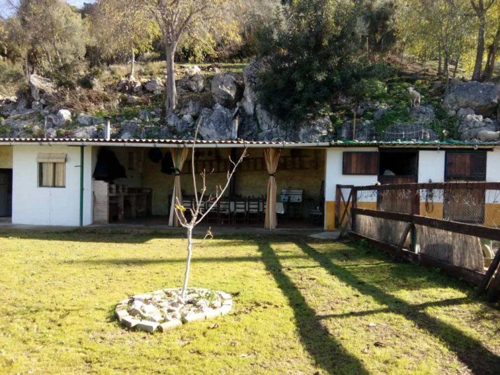 Jardín