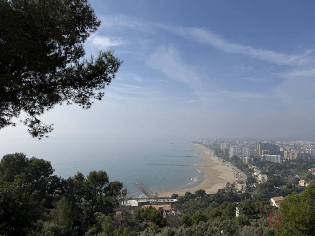 Vistas