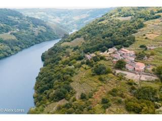 Alrededores