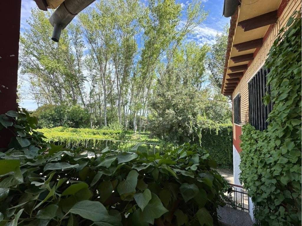 Jardín