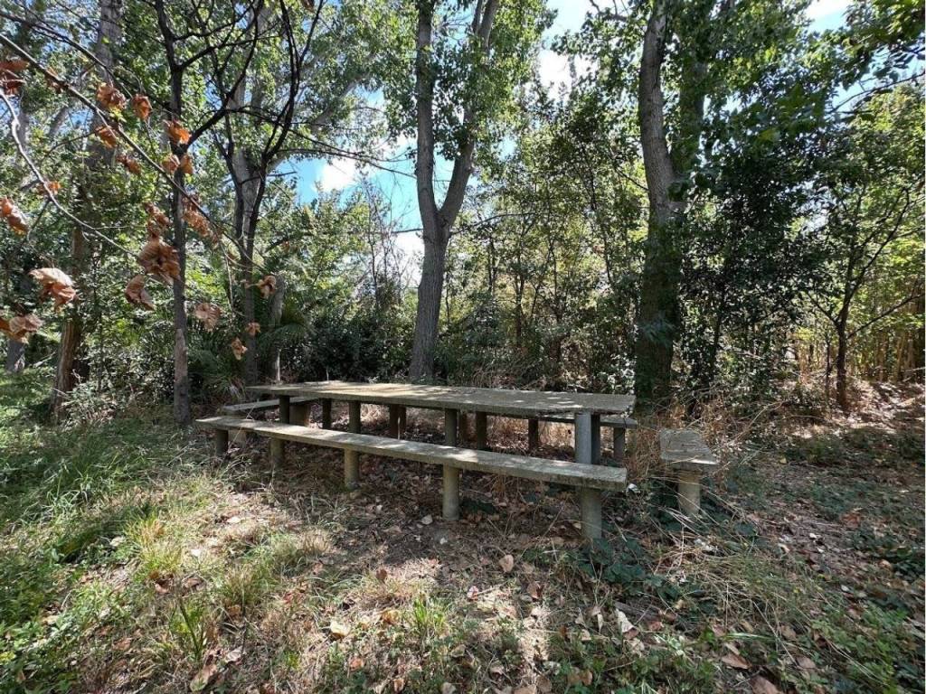 Jardín