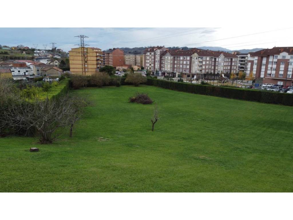 Jardín
