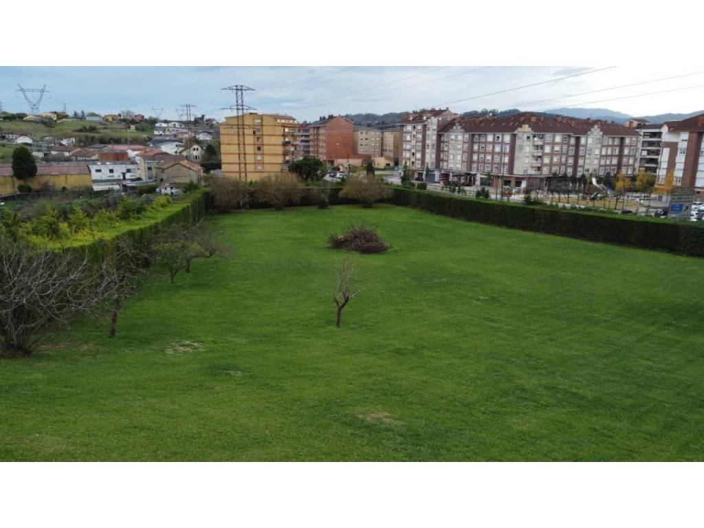 Jardín