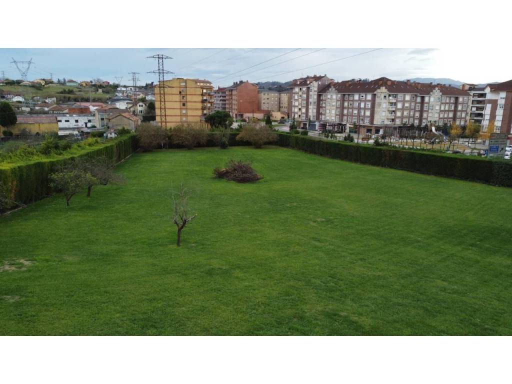 Jardín