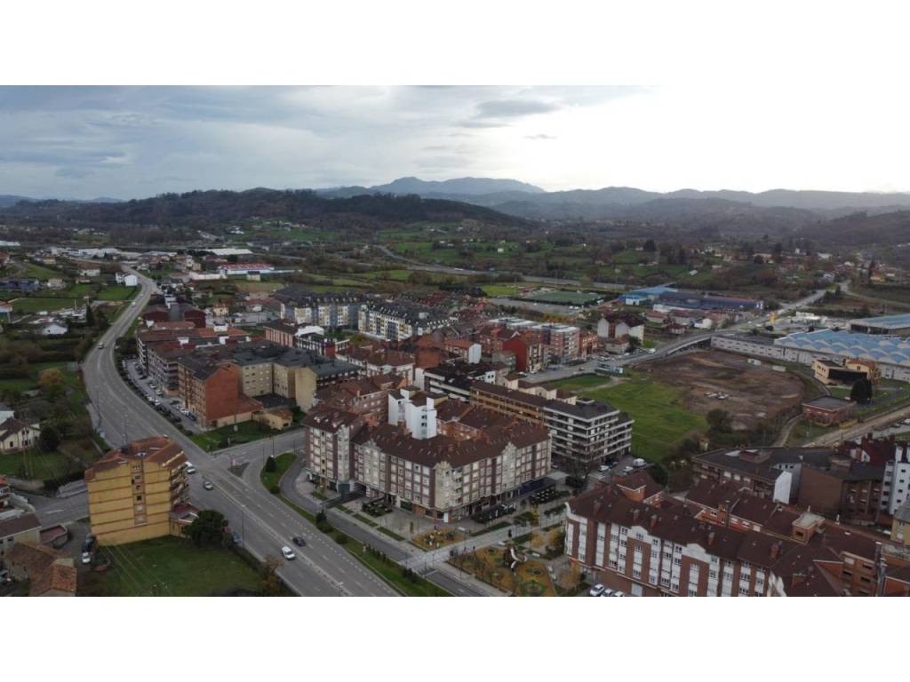 Jardín