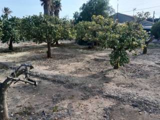 Jardín