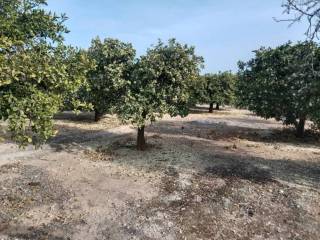 Jardín