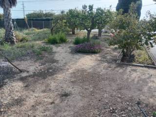 Jardín