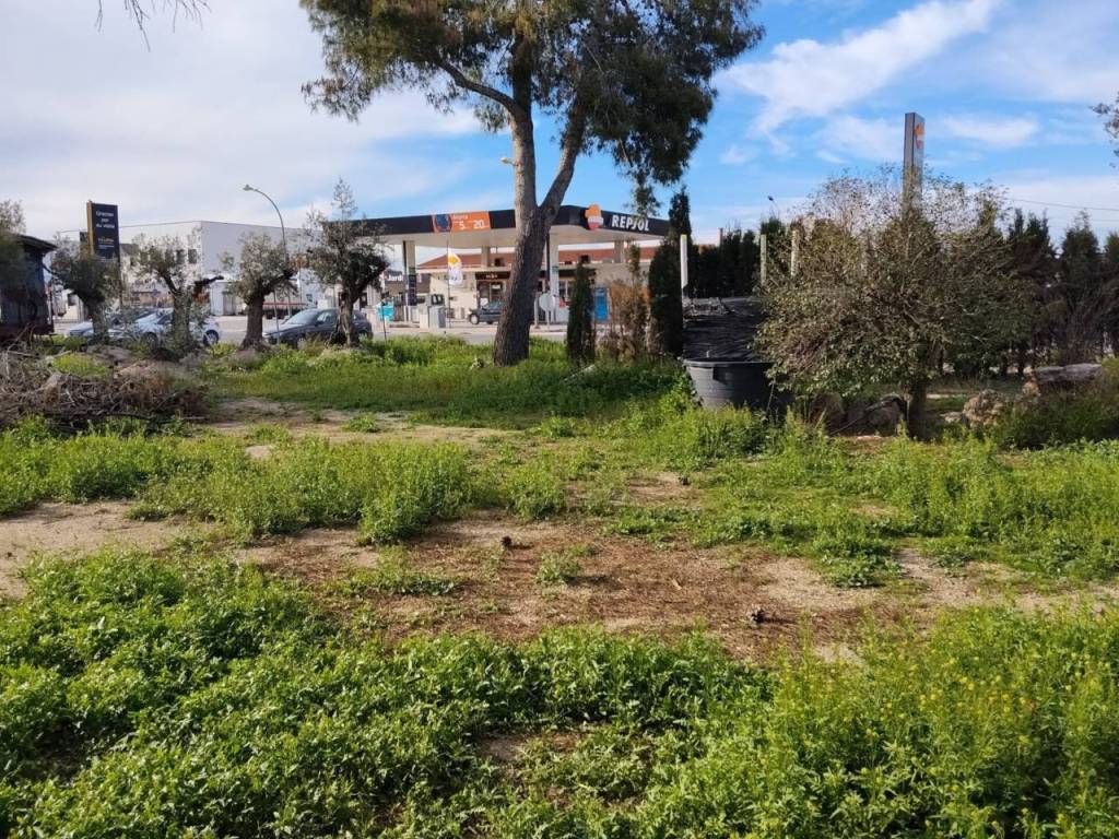 Jardín